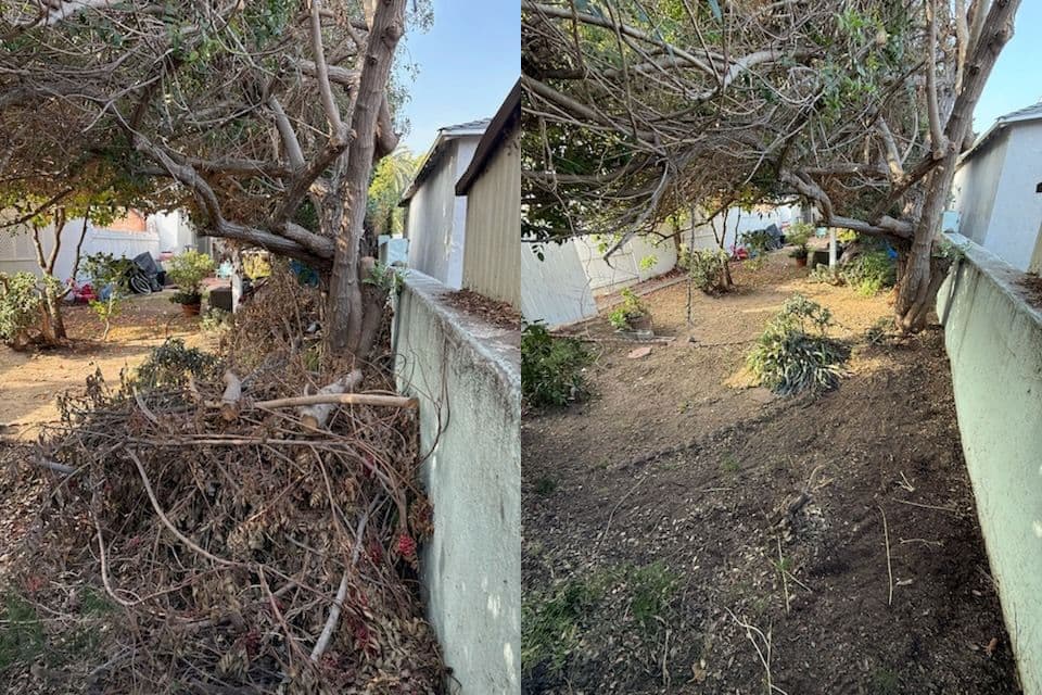 Yard Waste Clean-Up in Topanga